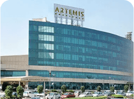 Artemis Hospital